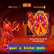 qual o bicho mais velho da loteria dos sonhos